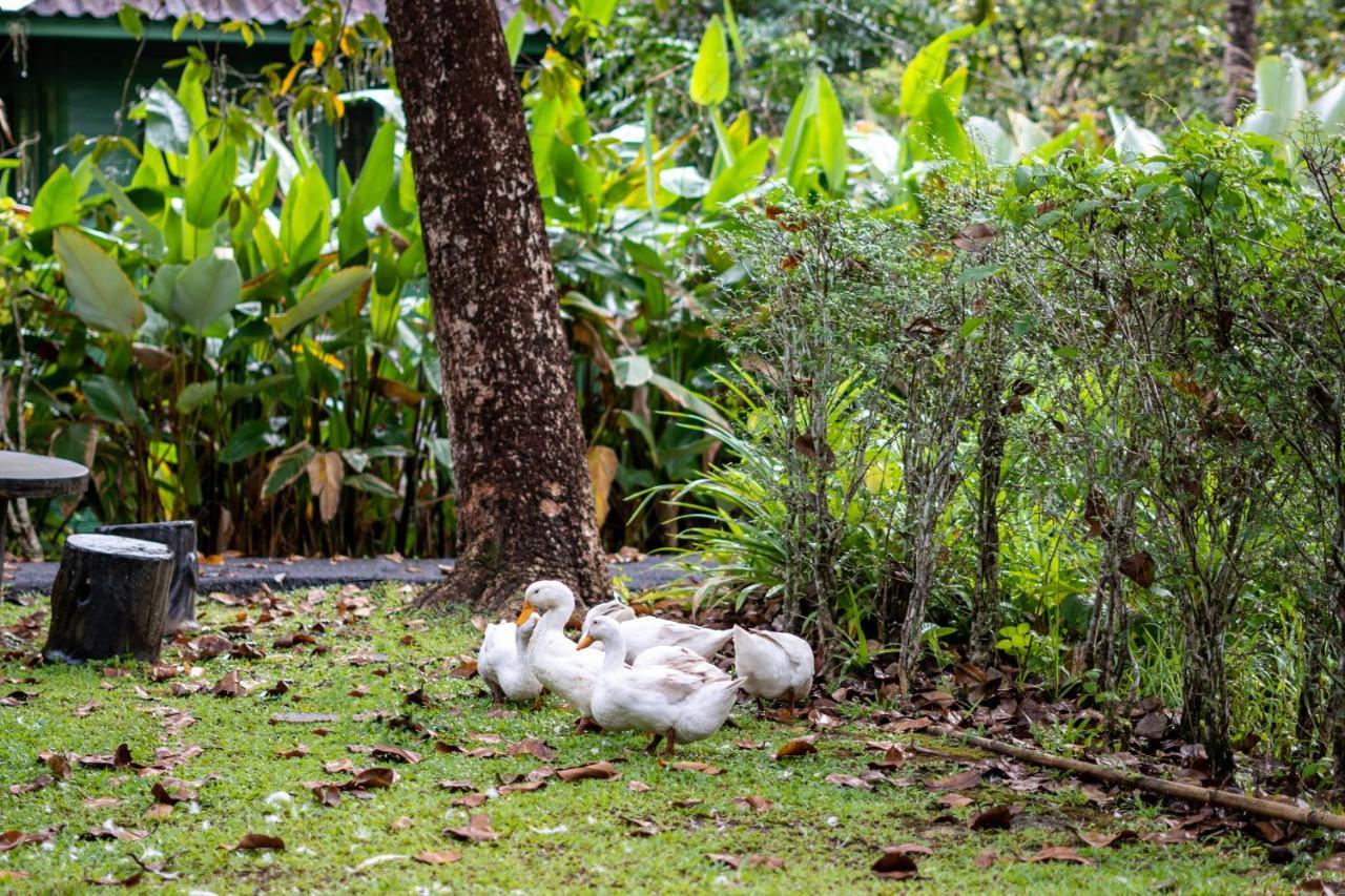 Blu Monkey Pooltara Krabi Hotel & Villas Pet Friendly Экстерьер фото