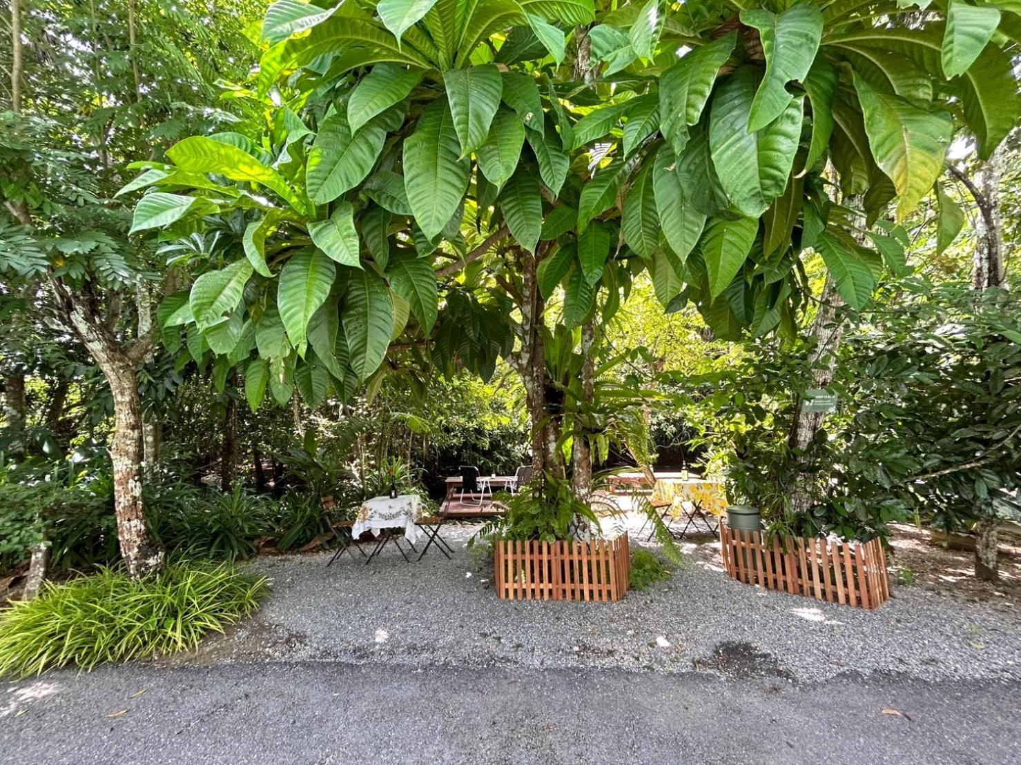 Blu Monkey Pooltara Krabi Hotel & Villas Pet Friendly Экстерьер фото