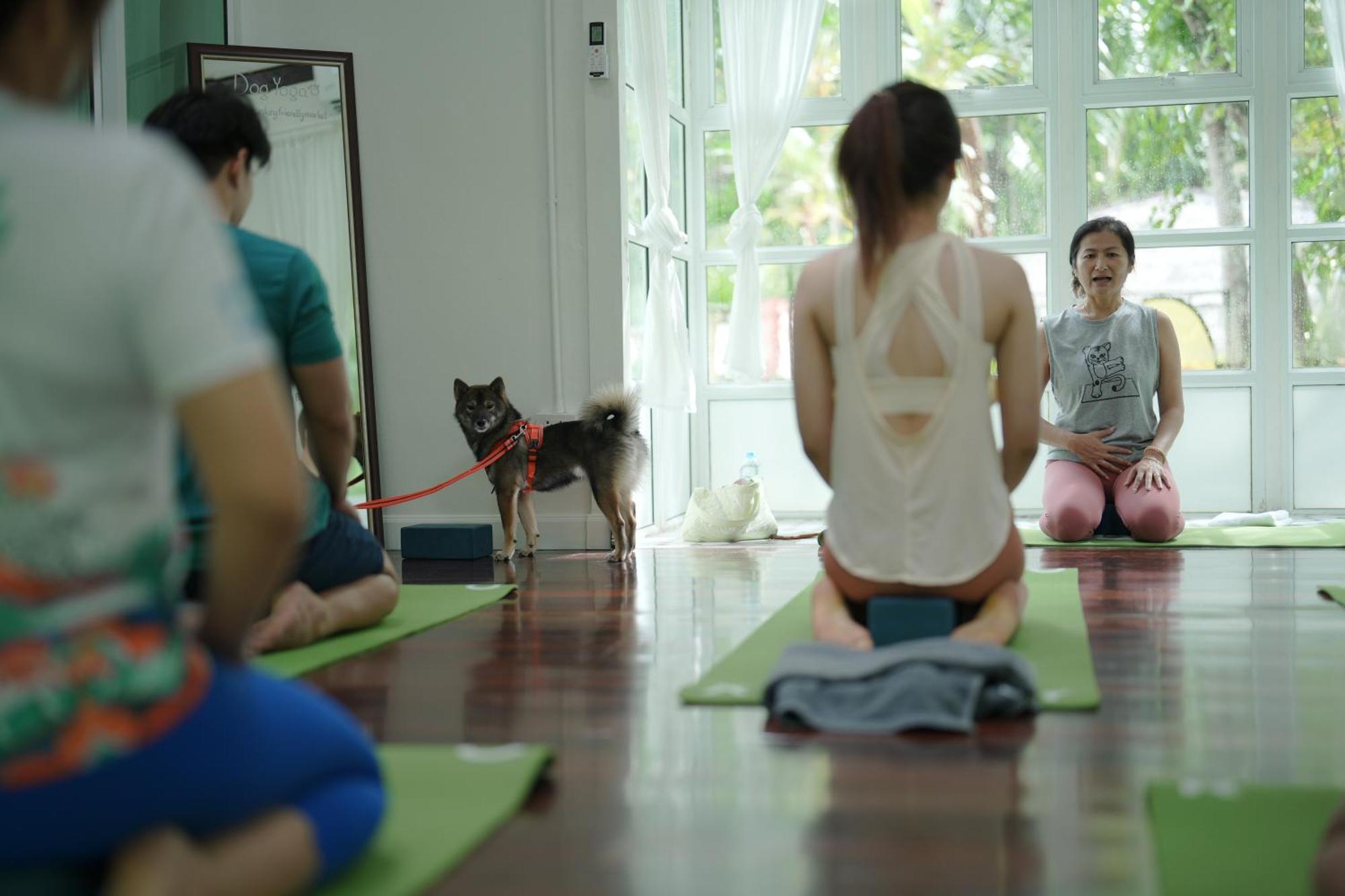 Blu Monkey Pooltara Krabi Hotel & Villas Pet Friendly Экстерьер фото